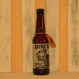Naparbier Capicúa I