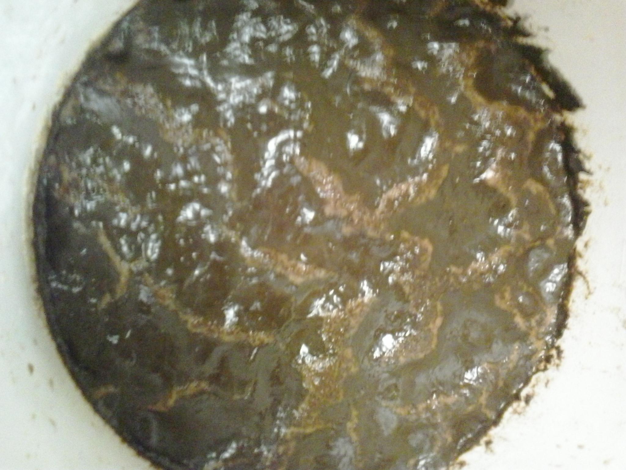 Capa de espuma de fermentación de una Stout